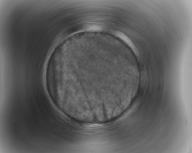 X0000088141475200706111416