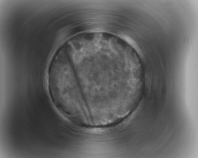 X0000088141476200706111416