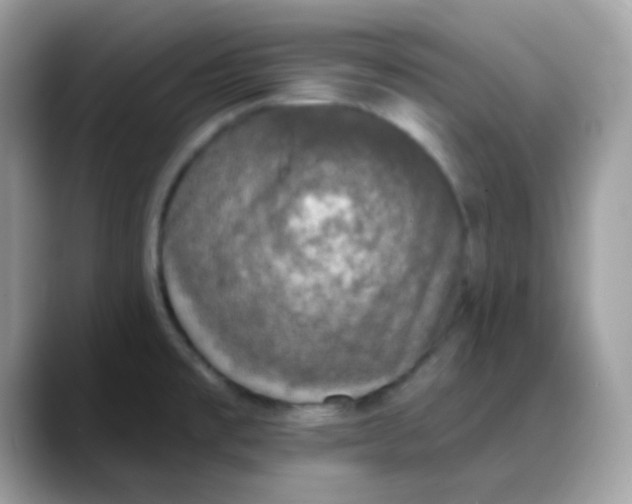 X0000088141477200706111416