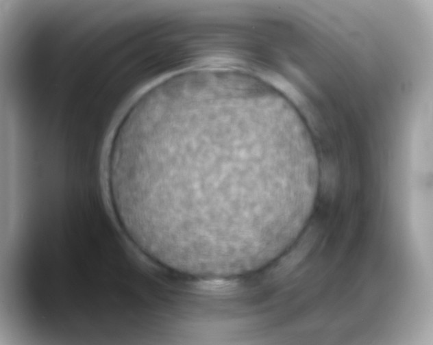 X0000088141478200706111416