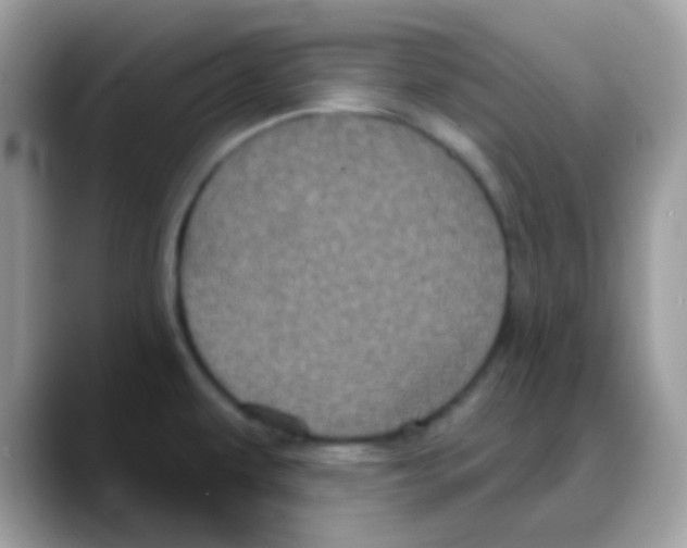 X0000088141479200706111416