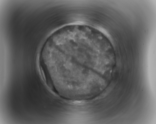 X0000088141480200706111416