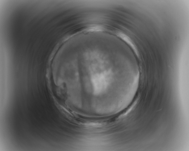 X0000088141481200706111416