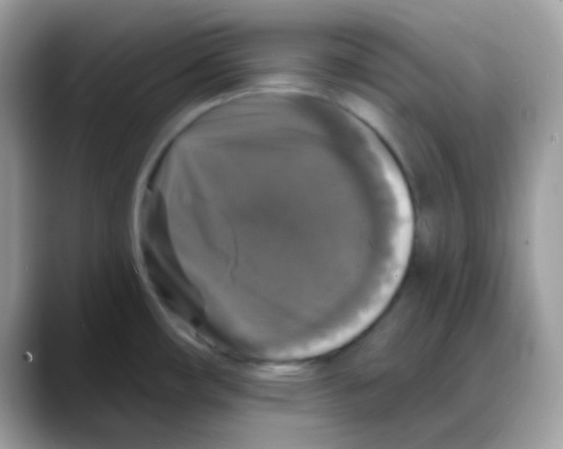 X0000088141482200706111416