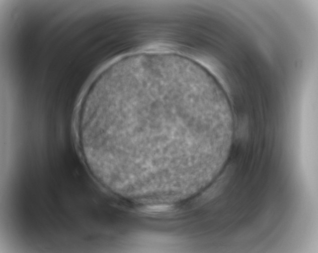 X0000088141486200706111416