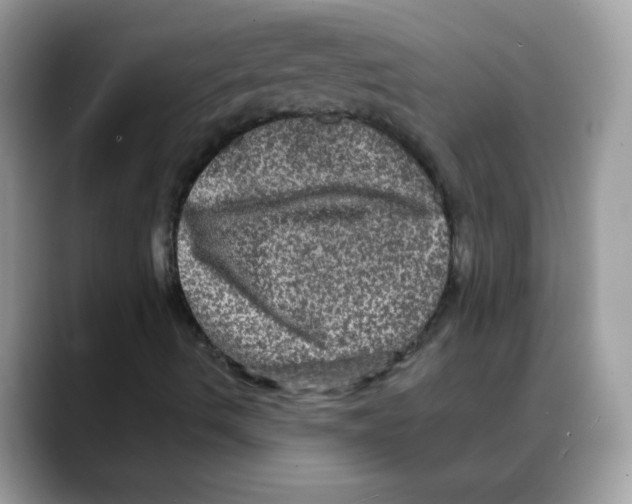 X0000088141490200706111416