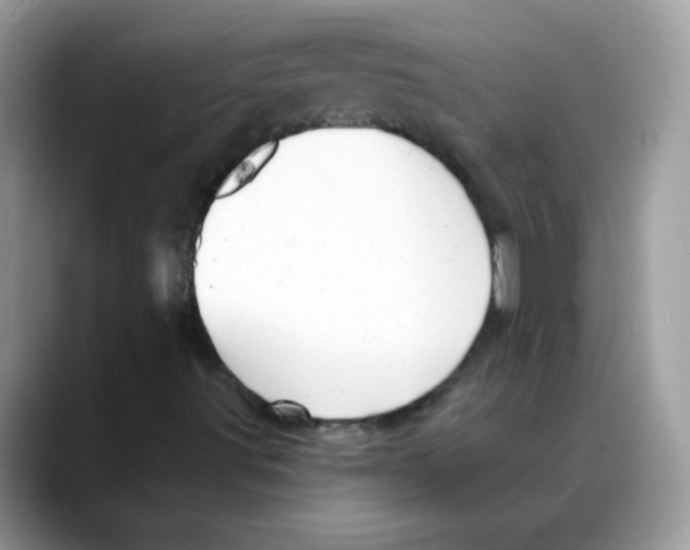 X0000088141491200706111416