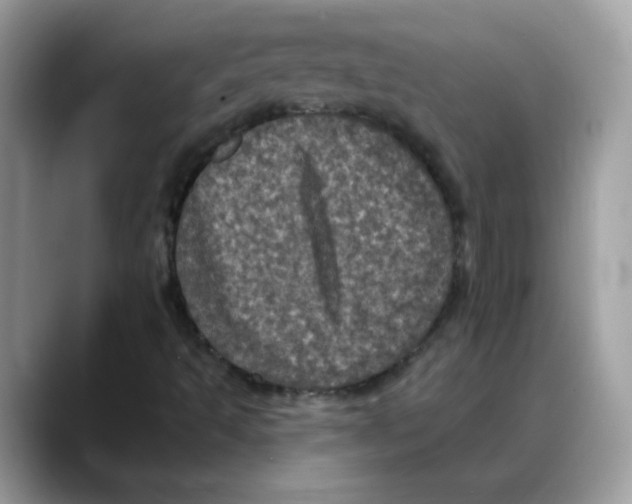 X0000088141493200706111416