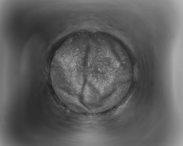 X0000088141494200706111416