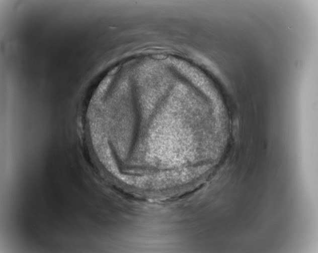 X0000088141496200706111416