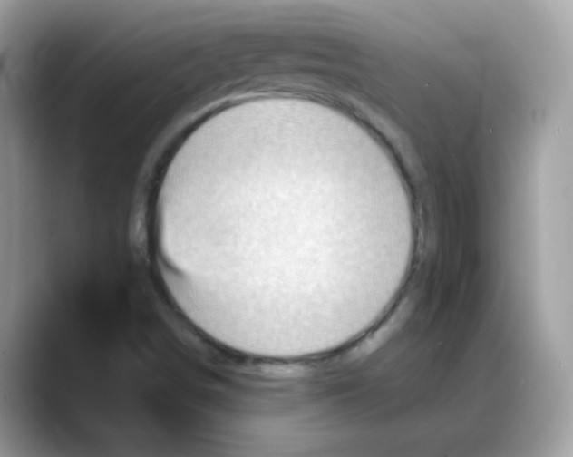 X0000088141498200706111416