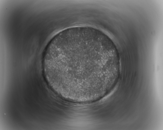 X0000088141501200706111416