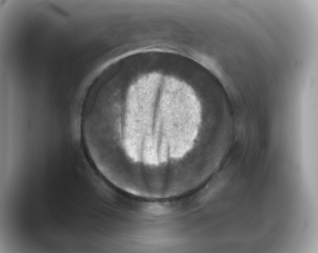 X0000088141504200706111416