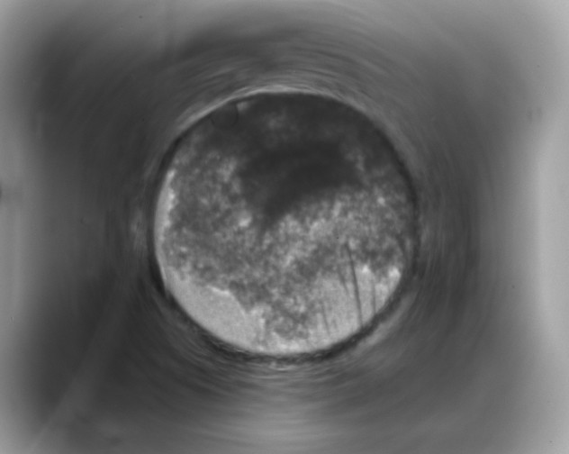 X0000088141505200706111416