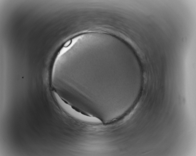 X0000088141506200706111416