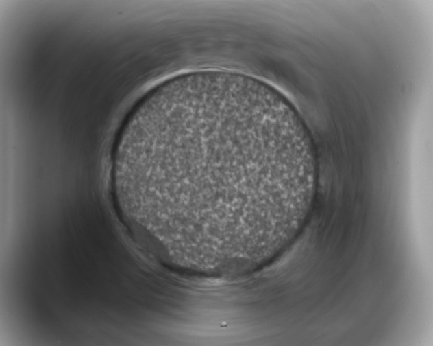 X0000088141507200706111416