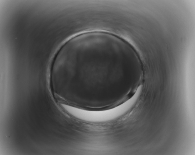 X0000088141508200706111416