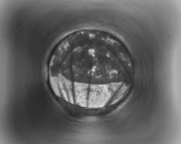 X0000088141509200706111416