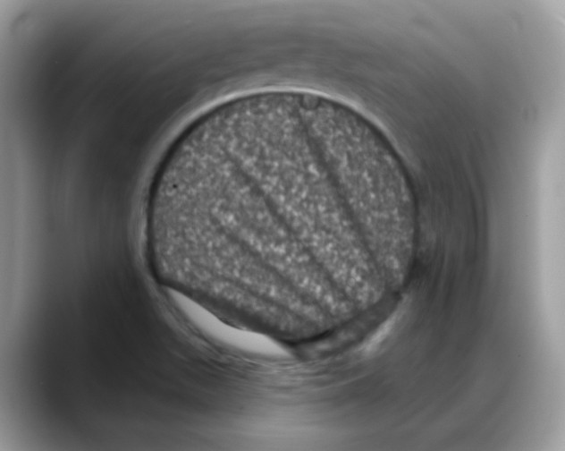 X0000088141511200706111416