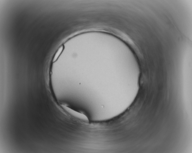 X0000088141512200706111416