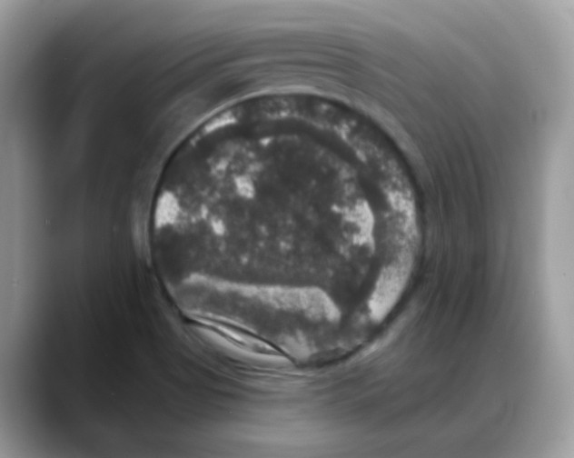 X0000088141513200706111416