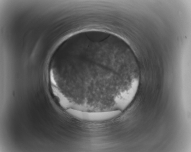 X0000088141515200706111416