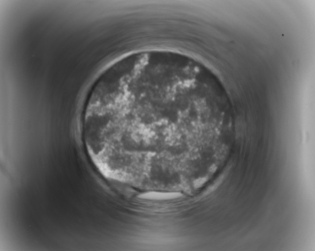 X0000088141517200706111416