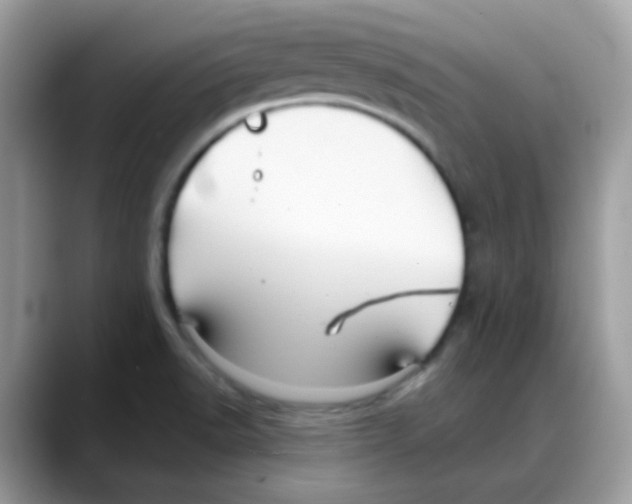 X0000088141518200706111416