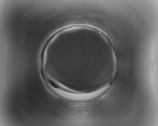 X0000088141519200706111416