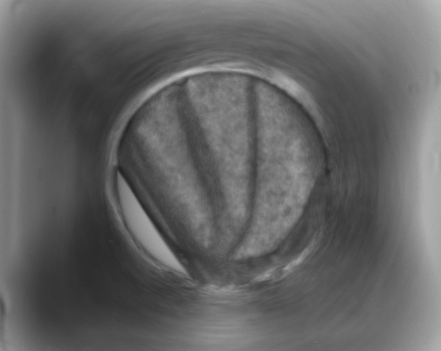 X0000088141520200706111416