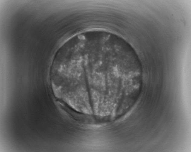 X0000088141521200706111416