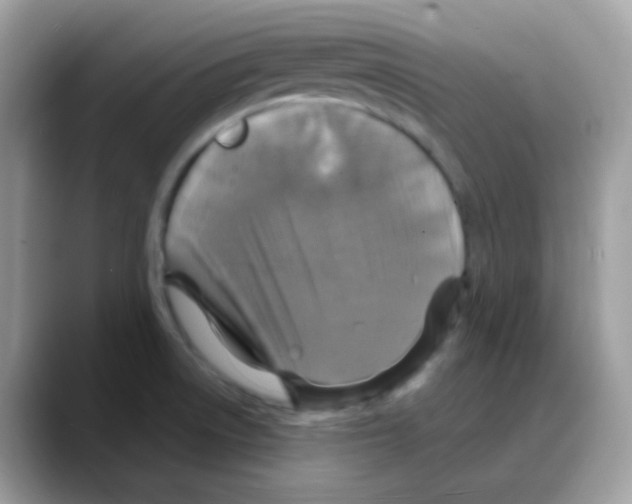 X0000088141522200706111416