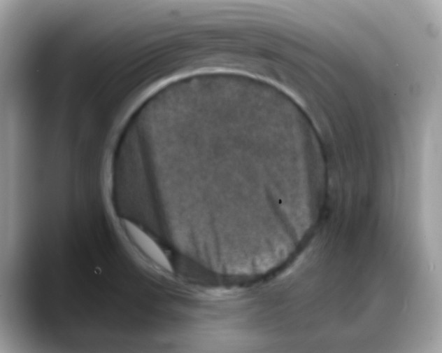 X0000088141523200706111416