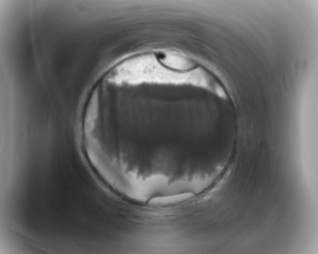 X0000088141525200706111416