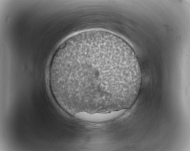 X0000088141526200706111416