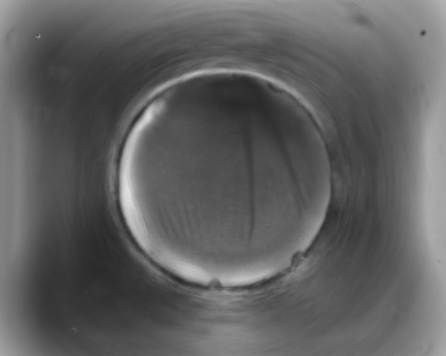 X0000088141527200706111416