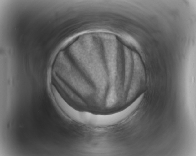 X0000088141528200706111416