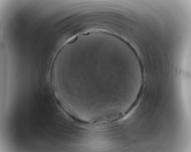 X0000088141529200706111416