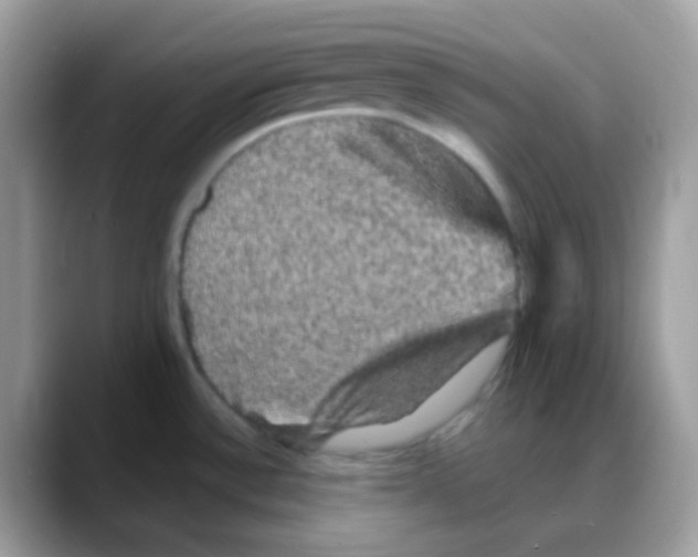 X0000088141532200706111416