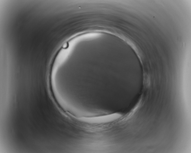 X0000088141533200706111416