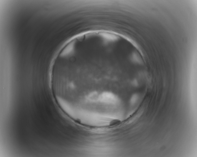 X0000088141535200706111416