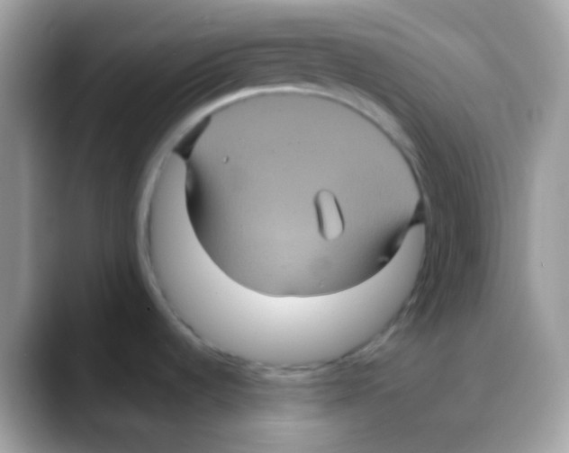 X0000088141536200706111416