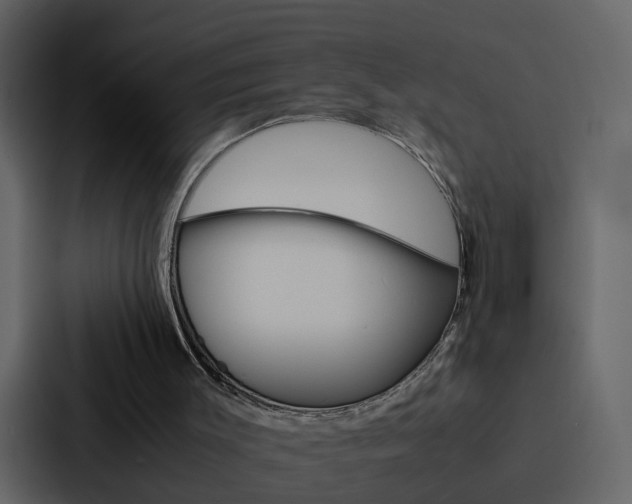 X0000088150003200705141101