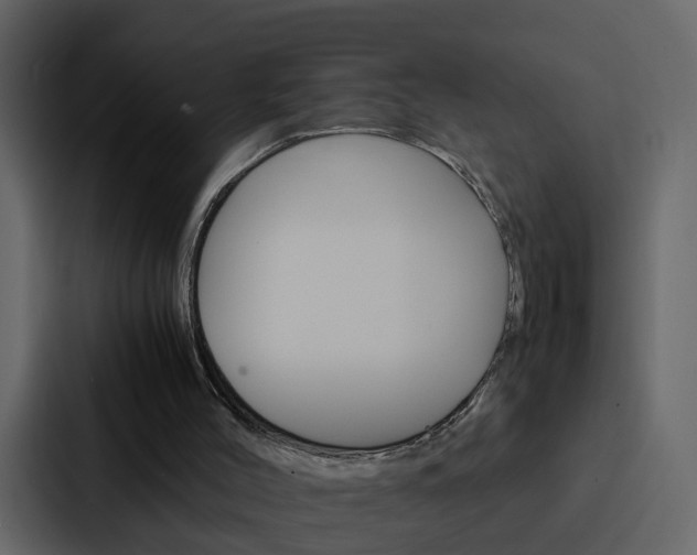 X0000088150004200705141101