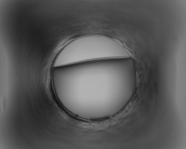 X0000088150005200705141101