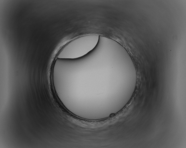 X0000088150006200705141101