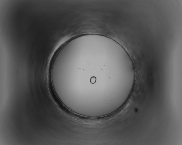 X0000088150008200705141100