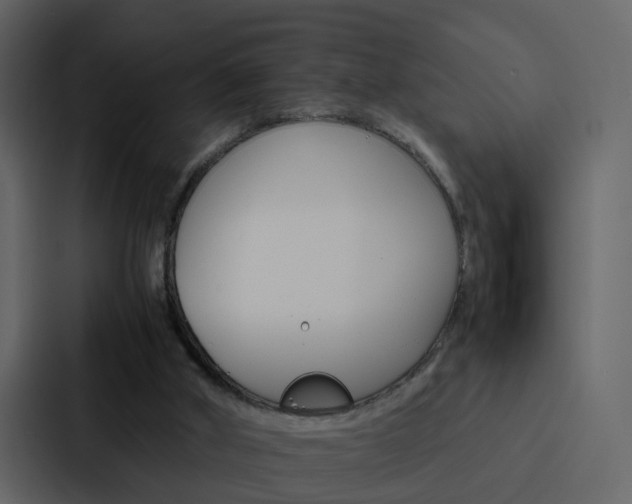 X0000088150010200705141100