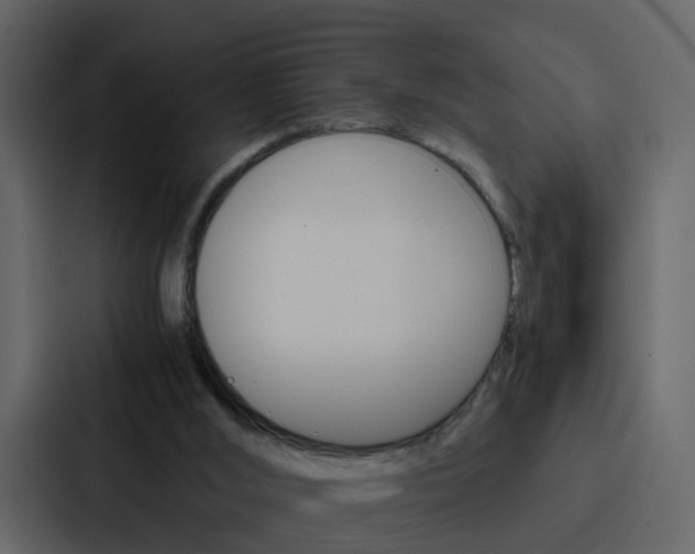 X0000088150012200705141100