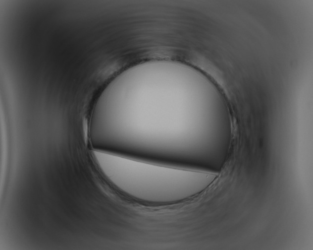 X0000088150013200705141100